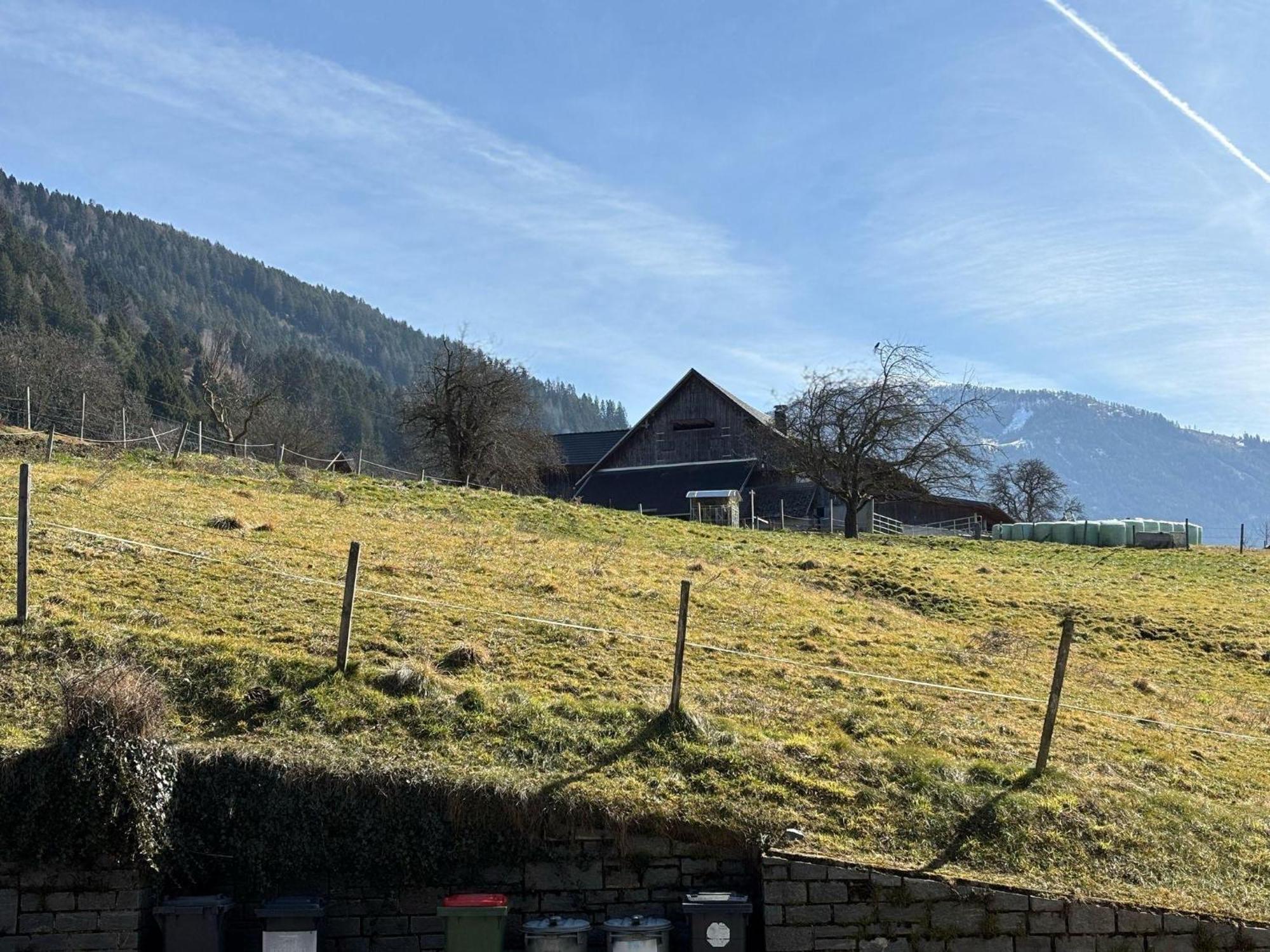 Moderne-Ferienwohnung-Nur-1Km-Vom-Millstaetter-See-In-Kaernten-Entfernt มิลชตัทท์ ภายนอก รูปภาพ