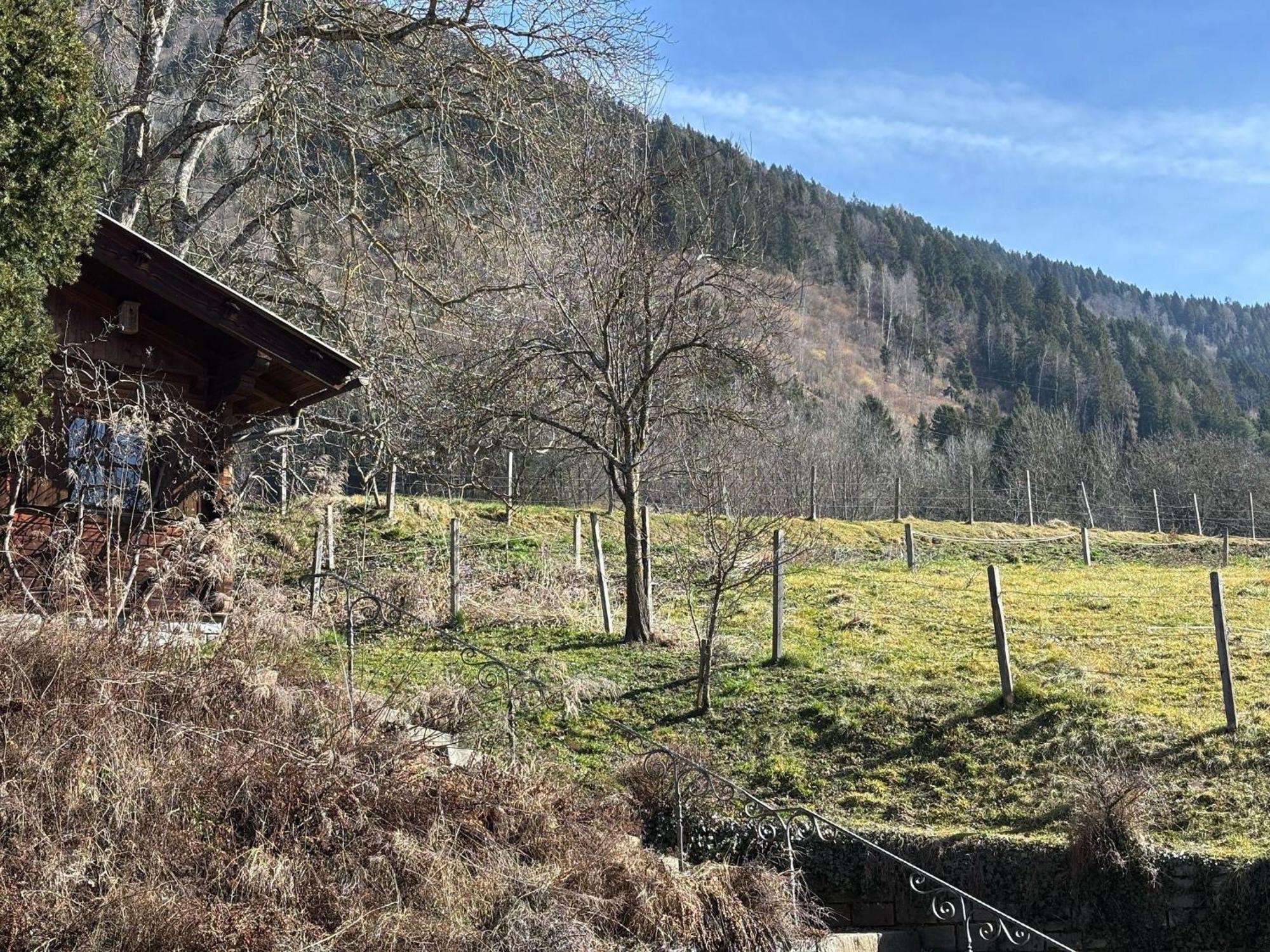 Moderne-Ferienwohnung-Nur-1Km-Vom-Millstaetter-See-In-Kaernten-Entfernt มิลชตัทท์ ภายนอก รูปภาพ